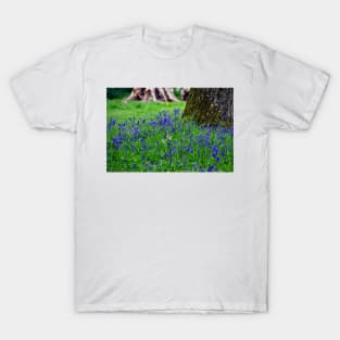 Bluebell Woods Bluebells Basildon Park Reading Berkshire T-Shirt